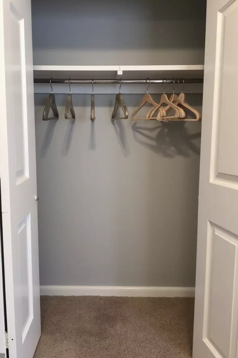 Offer Some Closet Space A professional photo, similar to a photo in a home design magazine, of a section of a guest room closet cleared out, showing empty hangers on the rod and clear shelf space.