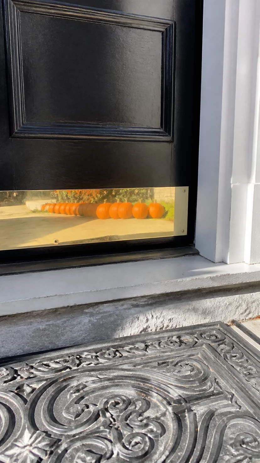 A super-realistic photo of the bottom half of a black front door featuring a polished brass kick plate at the base, the metal reflects a nearby row of orange pumpkins and the sidewalk, the door frame is crisp white, the sun shines brightly on the metallic surface, everyday social media post aesthetic, photorealistic, high-quality mobile photography, shot on an iPhone 14